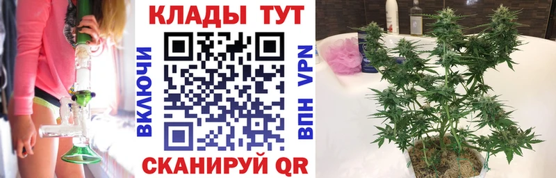 Галлюциногенные грибы Томилино