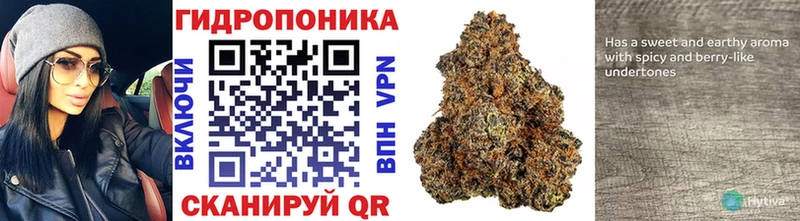Марихуана Ganja  blacksprut сайт  Томилино 